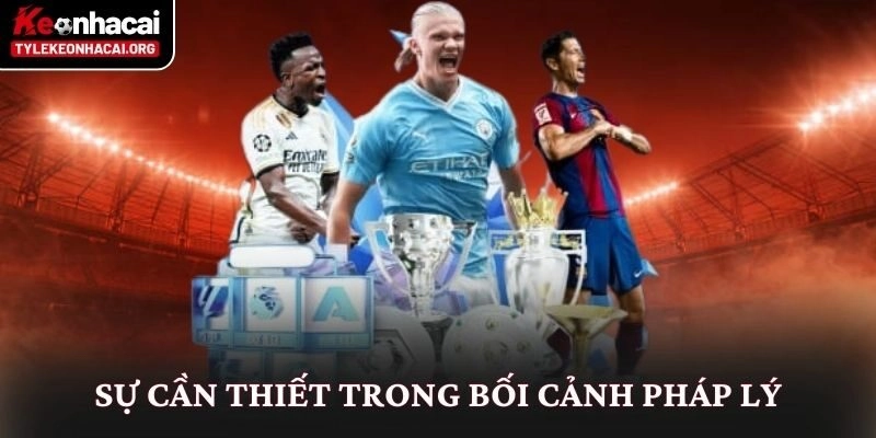 Miễn trừ trách nhiệm 3 Sự cần thiết trong bối cảnh pháp lý